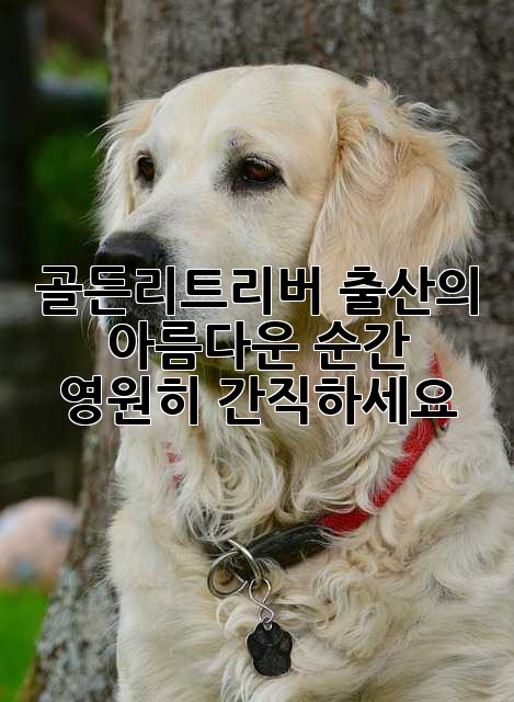 골든리트리버 출산의 아름다운 순간, 영원히 간직하세요!