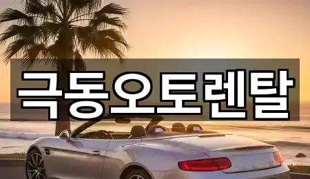 지금 주변의 포항 해도동 렌트카 5곳