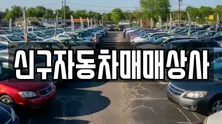 경북 경주시 천군동 중고차 전문 신구자동차매매상사