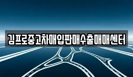 대전광역시 중구 문화동 중고차매입 전문 김프로중고차매입판매수출매매센터