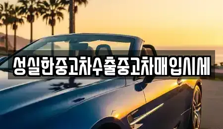 대전광역시 중구 문화동 중고차매입 전문 성실한중고차수출중고차매입시세