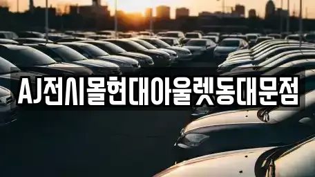 서울 중구 무학동 렌트카 전문 AJ전시몰현대아울렛동대문점