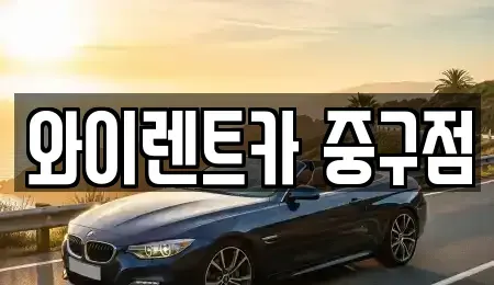 서울 중구 무학동 렌트카 전문 와이렌트카 중구점