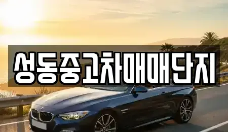 서울 중구 무학동 중고차 전문 성동중고차매매단지