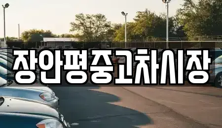서울 중구 무학동 중고차매매 전문 장안평중고차시장
