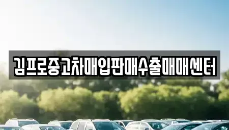 서울 중구 무학동 중고차매입 전문 김프로중고차매입판매수출매매센터