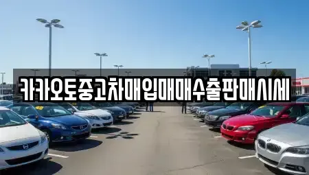 서울 중구 무학동 중고차매입 전문 카카오토중고차매입매매수출판매시세