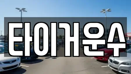 서울특별시 송파구 석촌동 단기렌트카 전문 타이거운수