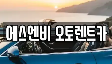 서울특별시 송파구 석촌동 렌트카 전문 에스엔비 오토렌트카