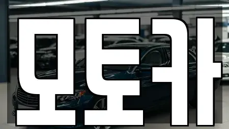 서울특별시 송파구 석촌동 장기렌트카 전문 모토카