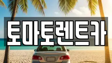 서울특별시 송파구 석촌동 장기렌트카 전문 토마토렌트카