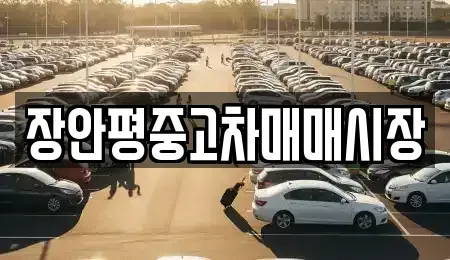 서울특별시 송파구 석촌동 중고차 전문 장안평중고차매매시장