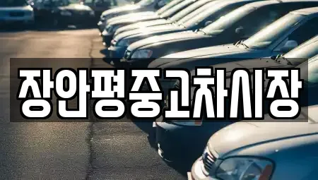 서울특별시 송파구 석촌동 중고차 전문 장안평중고차시장