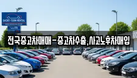 서울특별시 송파구 석촌동 중고차 전문 전국중고차매매-중고차수출,사고노후차매입