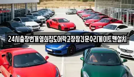 서울특별시 송파구 석촌동 중고차매입 전문 24시출장번개열쇠집도어락고장잠긴문수리게이트맨설치