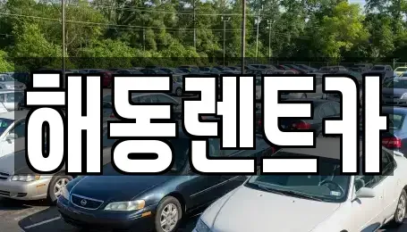 인천광역시 계양구 장기동 렌트카 전문 해동렌트카