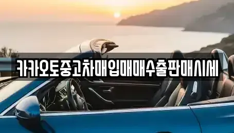 인천광역시 계양구 장기동 중고차 전문 카카오토중고차매입매매수출판매시세